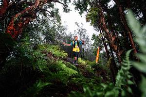 BIB: 
                            <button type="button" onclick="openModal(26205575)" class="btn btn-primary btn-sm float-right btn-popup" data-toggle="modal" data-target=".modal-high-quality">
                        <i class="fas fa-shopping-cart"></i> Add to Cart
                    </button>
                                            <button type="button" onclick="isThisMe(26205575, true)" class="btn btn-success btn-sm float-right btn-popup btn-isme hidden" data-toggle="tooltip" data-placement="bottom" title="นี่คือรูปของคุณใช่ไหม คลิกที่นี่เพื่อเอาเข้าอัลบั้ม">
                        <i class="fas fa-plus"></i> Add to album
                    </button>
                    <button type="button" onclick="isThisMe(26205575, false)" class="btn btn-warning btn-sm float-right btn-popup btn-isnotme hidden">
                        <i class="fas fa-ban"></i> Remove from album
                    </button>